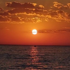 Meet your Posher, Lona